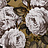 Обои Designers Guild John Derian - Picture Book PJD6002-04