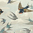 Обои Designers Guild John Derian - Picture Book PJD6003-01