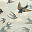 Обои Designers Guild John Derian - Picture Book PJD6003-01