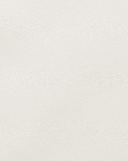 Ткань Holly Hunt Holly Hunt Leather 9250/33