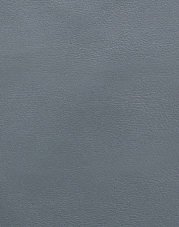 Ткань Holly Hunt Holly Hunt Leather 9250/38