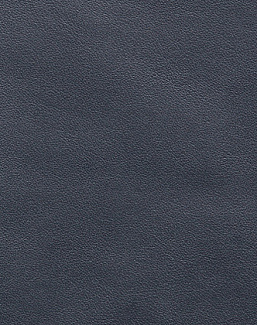 Ткань Holly Hunt Holly Hunt Leather 9250/39