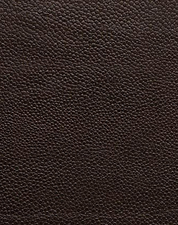 Ткань Holly Hunt Holly Hunt Leather 6000/06