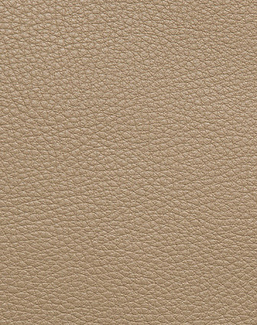 Ткань Holly Hunt Holly Hunt Leather 9377/05