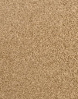 Ткань Holly Hunt Holly Hunt Leather 6005/02