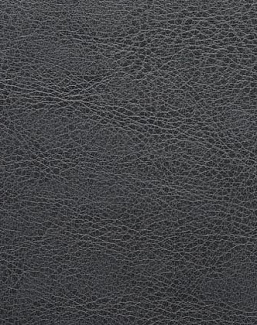 Ткань Holly Hunt Holly Hunt Leather 6005/20