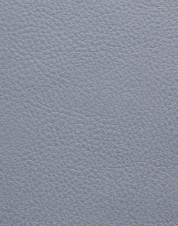 Ткань Holly Hunt Holly Hunt Leather 6005/41