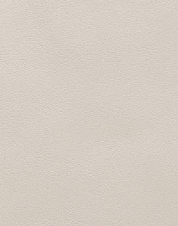 Ткань Holly Hunt Holly Hunt Leather 9376/20