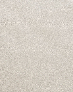 Ткань Holly Hunt Holly Hunt Leather 9251/01