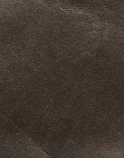 Ткань Holly Hunt Holly Hunt Leather 9251/08