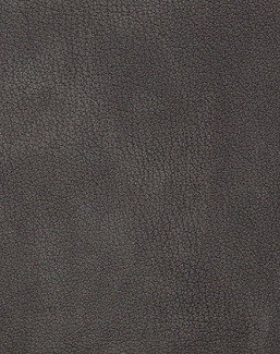 Ткань Holly Hunt Holly Hunt Leather 6002/22