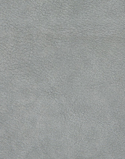 Ткань Holly Hunt Holly Hunt Leather 6002/23