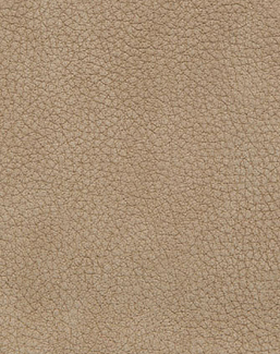 Ткань Holly Hunt Holly Hunt Leather 6002/24