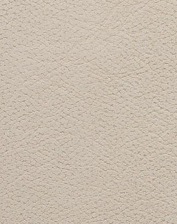 Ткань Holly Hunt Holly Hunt Leather 6007/01