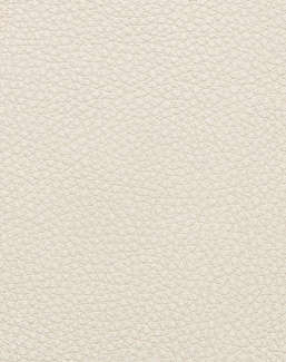 Ткань Holly Hunt Holly Hunt Leather 9375/01