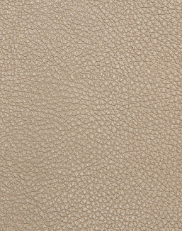 Ткань Holly Hunt Holly Hunt Leather 9375/03