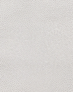 Ткань Holly Hunt Holly Hunt Leather 6000/77