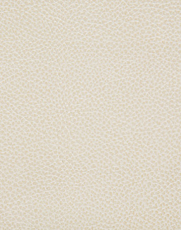 Ткань Holly Hunt Holly Hunt Leather 6013/01