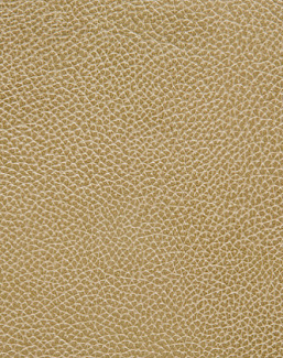 Ткань Holly Hunt Holly Hunt Leather 6013/03