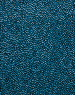 Ткань Holly Hunt Holly Hunt Leather 6013/11