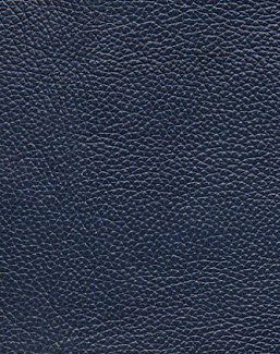 Ткань Holly Hunt Holly Hunt Leather 6013/12