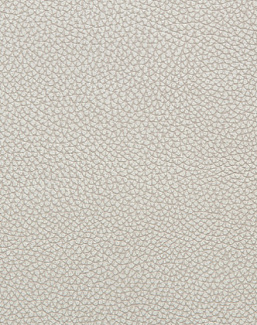 Ткань Holly Hunt Holly Hunt Leather 6013/31