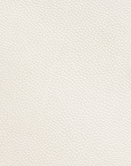 Ткань Holly Hunt Holly Hunt Leather 6013/37