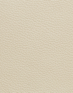 Ткань Holly Hunt Holly Hunt Leather 9401/19