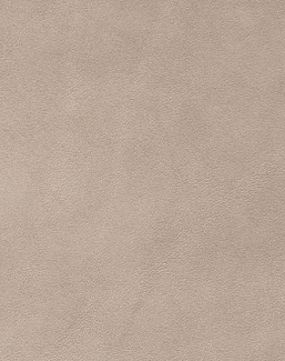Ткань Holly Hunt Holly Hunt Leather 9379/05