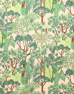 Ткань Manuel Canovas Morny 04968/04