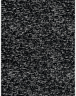 Ткань Stroheim Black And White Coffee bay/Zebra