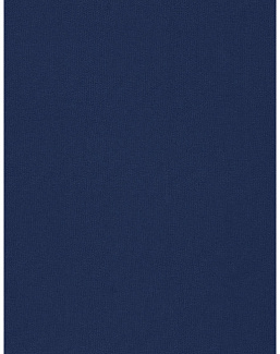 Ткань Stroheim Dana Gibson Prints II Meriwether/Navy