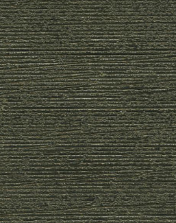 Обои Holland & Sherry Docere WP2534/Nighrscape Draco