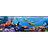Бордюр York Disney II DS7687BD