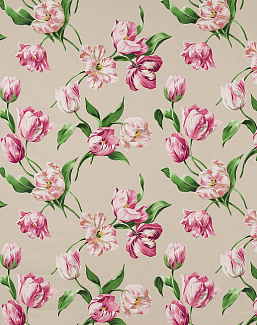 Ткань Manuel Canovas Castellane M4103/01