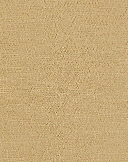 Ткань Designers Guild Anshu FDG2896/24