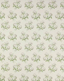 Ткань Colefax and Fowler Jardine F2328/06
