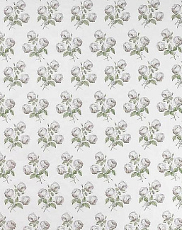 Ткань Colefax and Fowler Jardine 01020/05