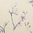Обои Prestigious Textiles Galleria 1600/047