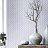 Обои Casadeco Baltic BTI29236125