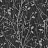 Обои Arthouse Ambiente 291504