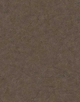 Обои Carl Robinson Edition 17 - Loft CR86216