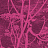 Ткань Cole & Son The Contemporary Collection F111/5017