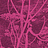 Ткань Cole & Son The Contemporary Collection F111/5017