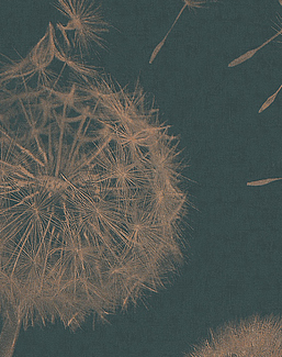Панно и фотообои Italreflexes Macro Taraxacum-003/Copper