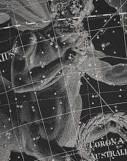 Панно и фотообои Italreflexes Macro Sagittarius-006/Slate