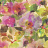 Обои Designers Guild Zardozi PDG1062-01
