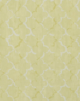 Обои Designers Guild Shanghai Garden PDG650/04
