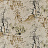 Обои Designers Guild Shanghai Garden PDG651/07