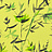 Обои Designers Guild Shanghai Garden PDG652/01